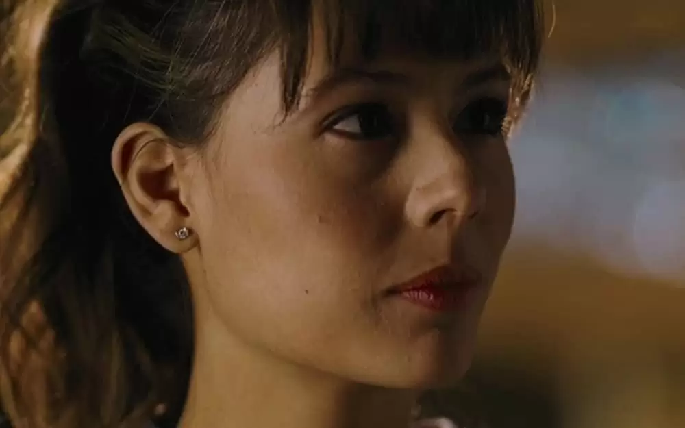 密室の女 奪われた情事／ヒドゥン・フェイスの画像