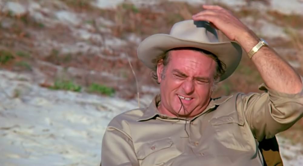 Zaat（原題）の画像