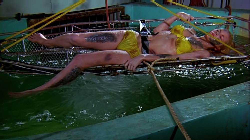 Zaat（原題）の画像