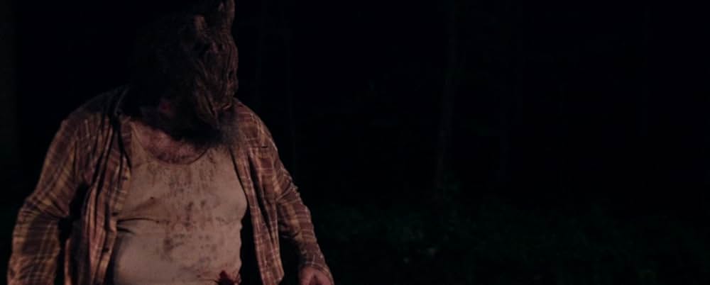 Plank Face（原題）の画像