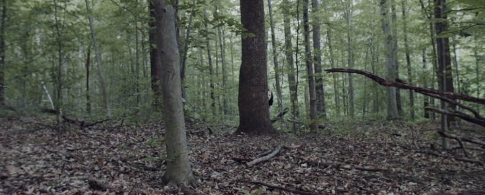 Plank Face（原題）の画像