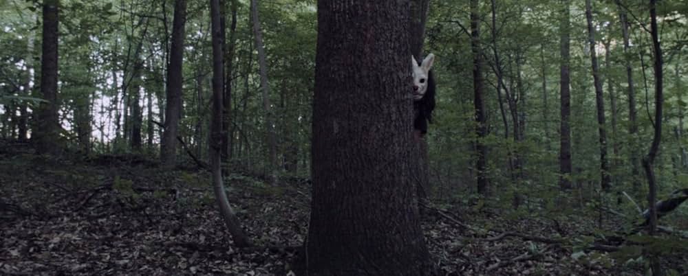 Plank Face（原題）の画像