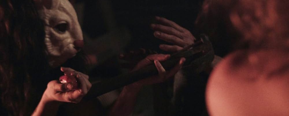 Plank Face（原題）の画像