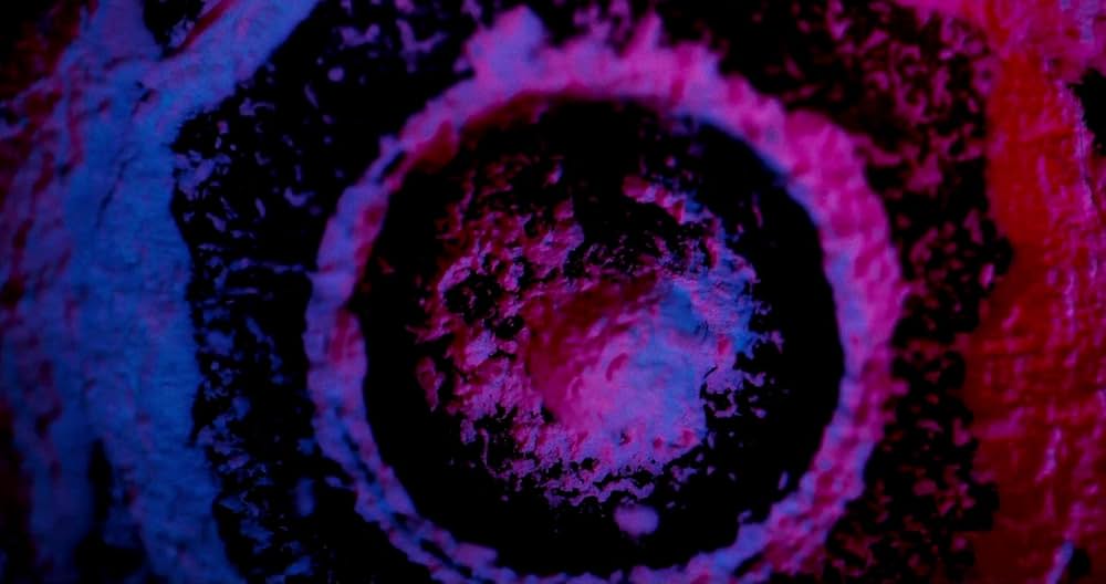 Violet（原題）の画像