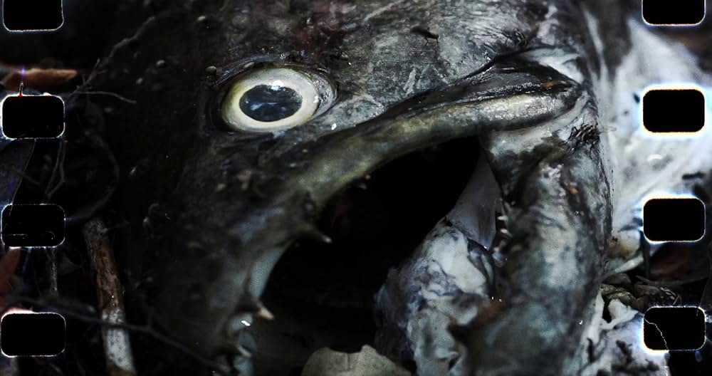 Violet（原題）の画像