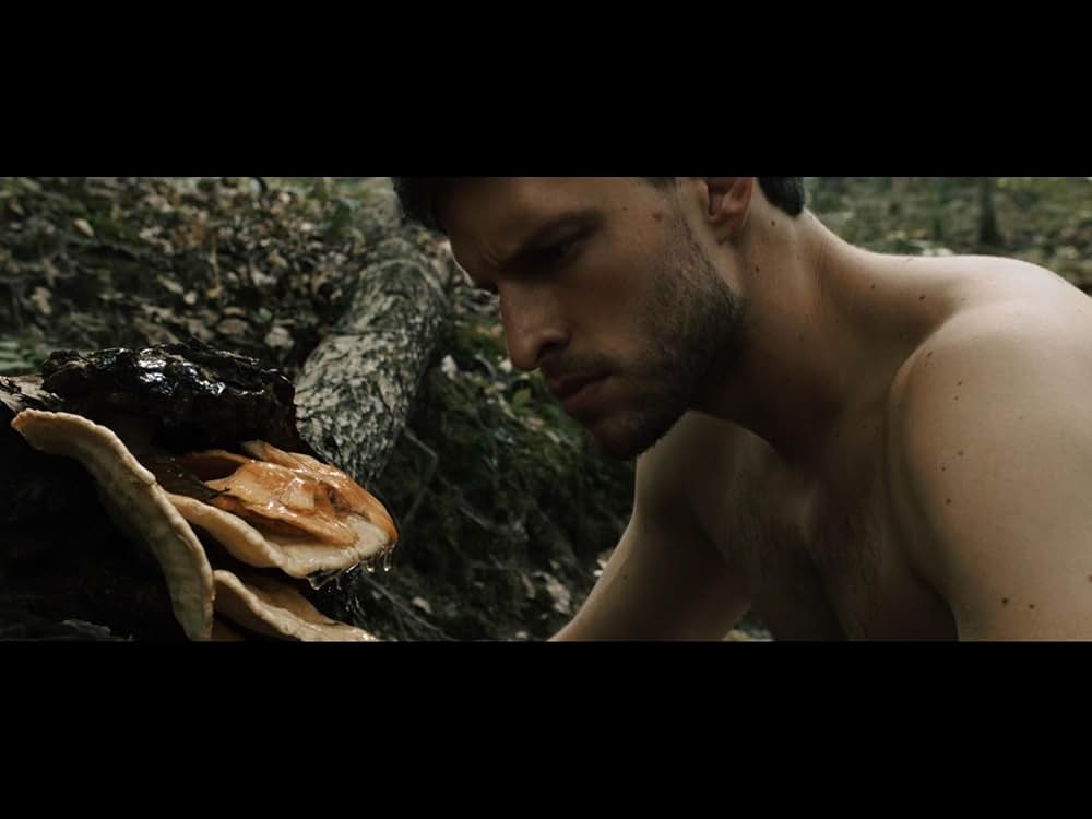 Harvest Lake（原題）の画像