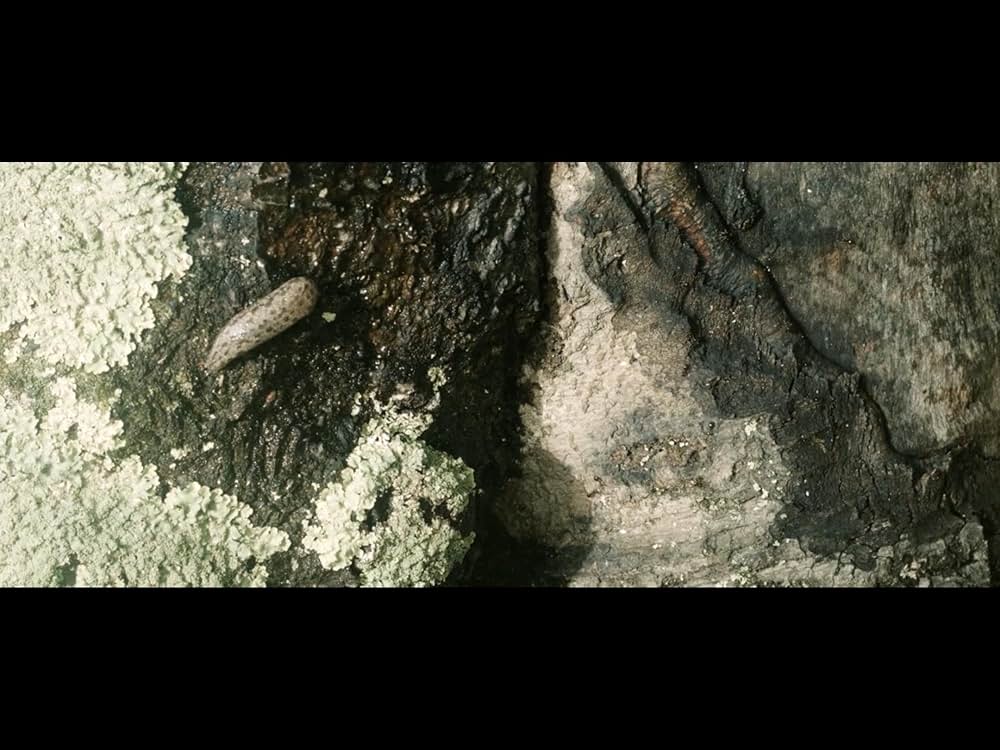 Harvest Lake（原題）の画像