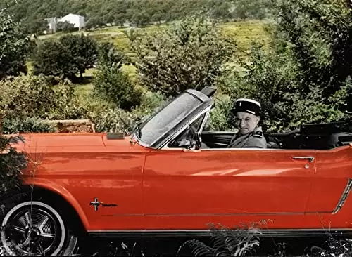 「大混戦」Louis de Funèsの画像