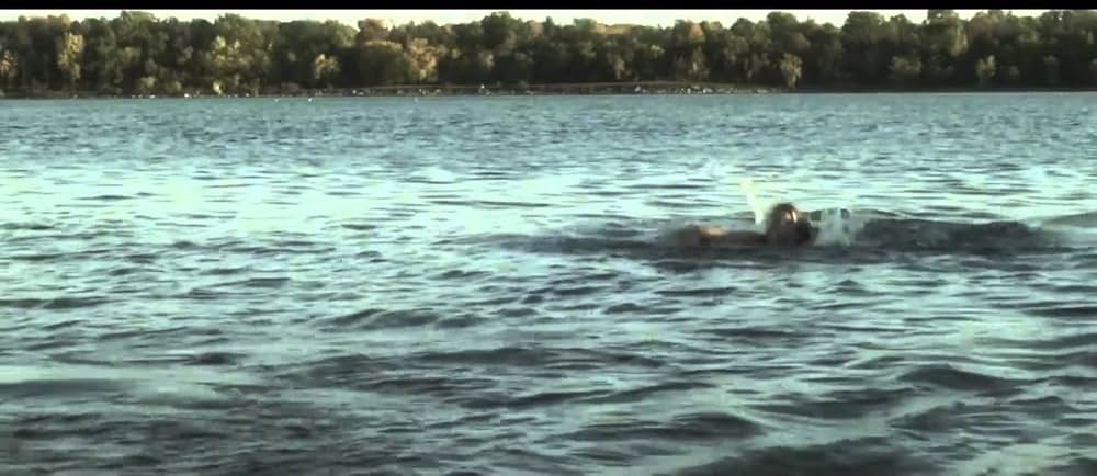 ロスト・ジョーズの画像