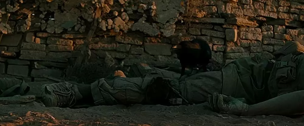 ザ・ウォールの画像