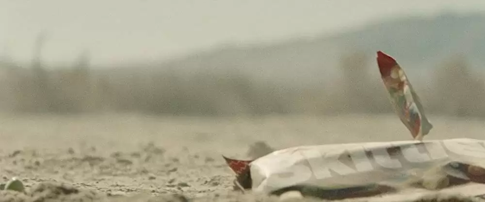 ザ・ウォールの画像