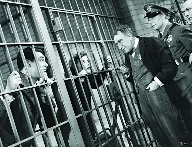 赤ちゃん教育の画像