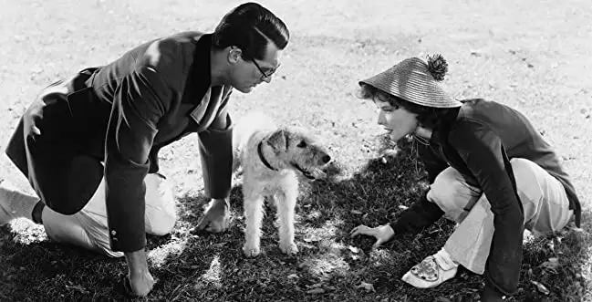 「赤ちゃん教育」ケイリー・グラント & キャサリン・ヘプバーン & Skippyの画像