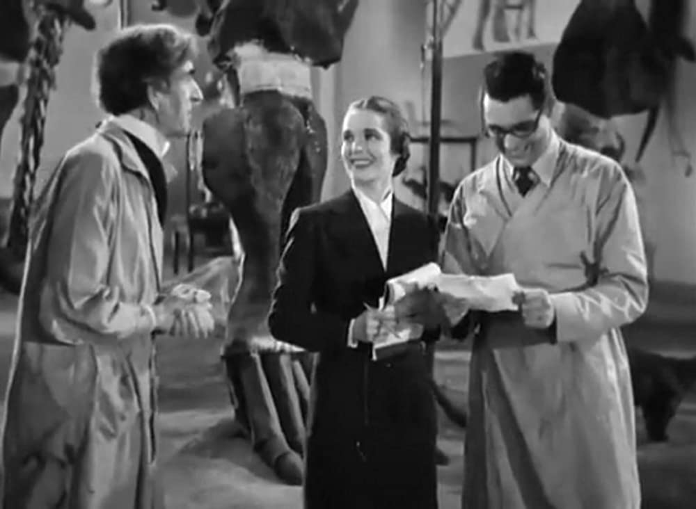 モルグ街の殺人の画像