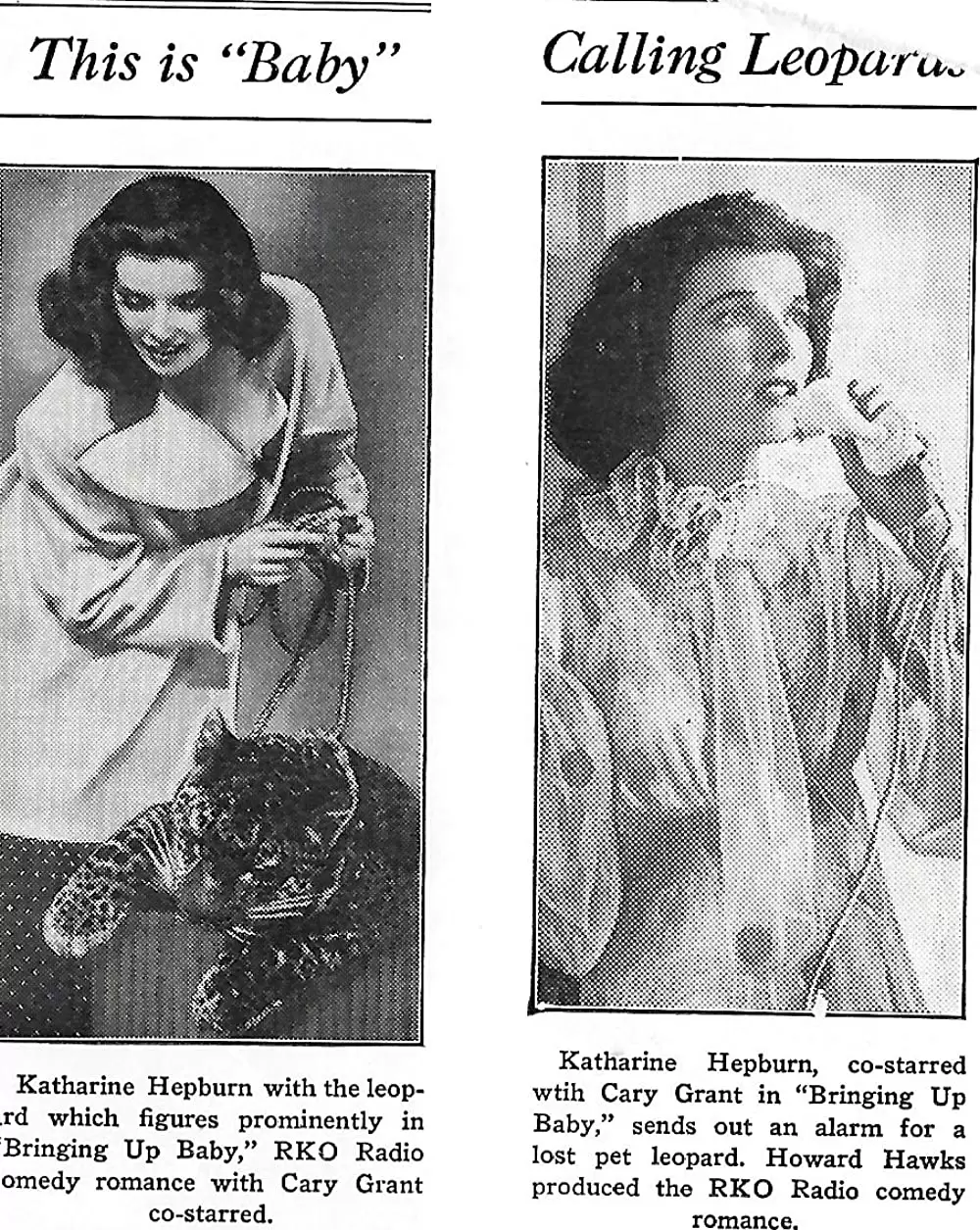 赤ちゃん教育の画像