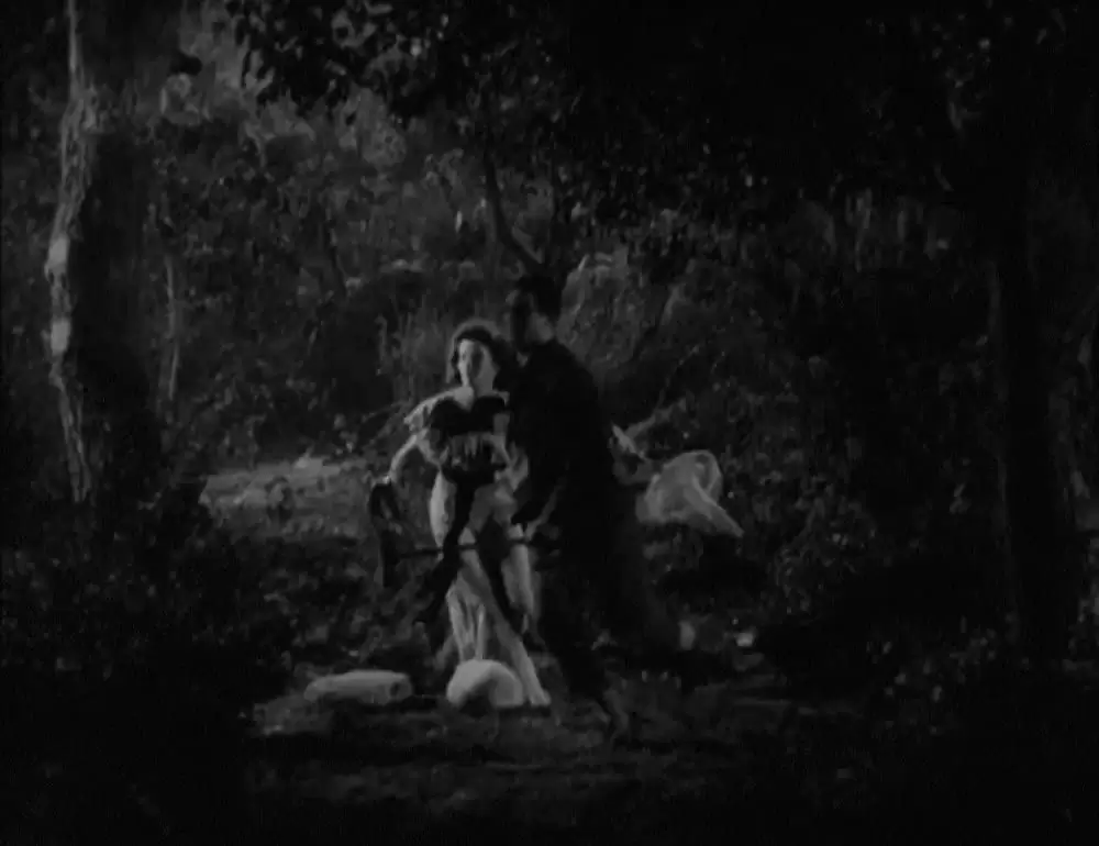 赤ちゃん教育の画像