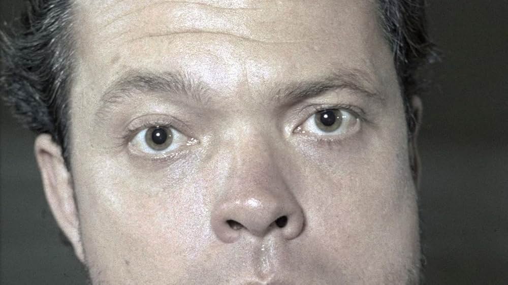 The Eyes of Orson Welles（原題）の画像