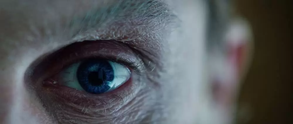 アメリカン・アニマルズの画像