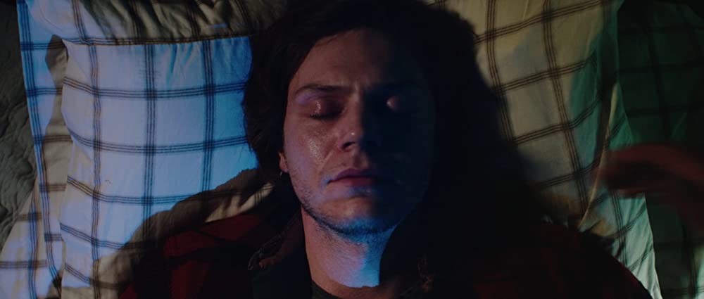 アメリカン・アニマルズの画像