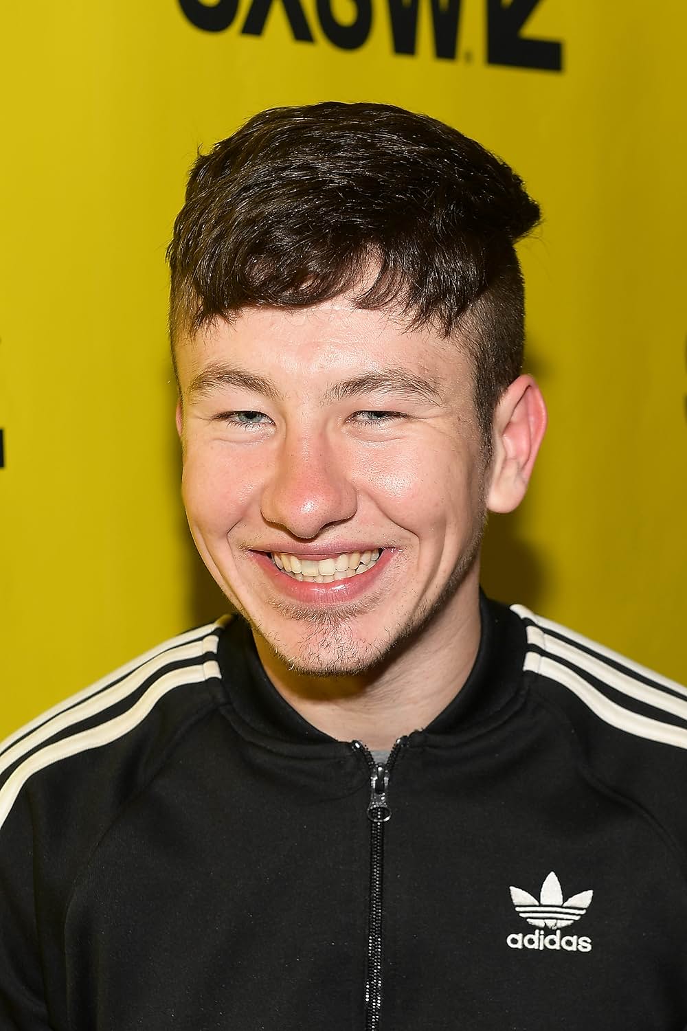 アメリカン・アニマルズの画像