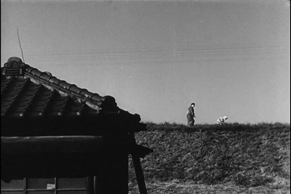 東京物語の画像