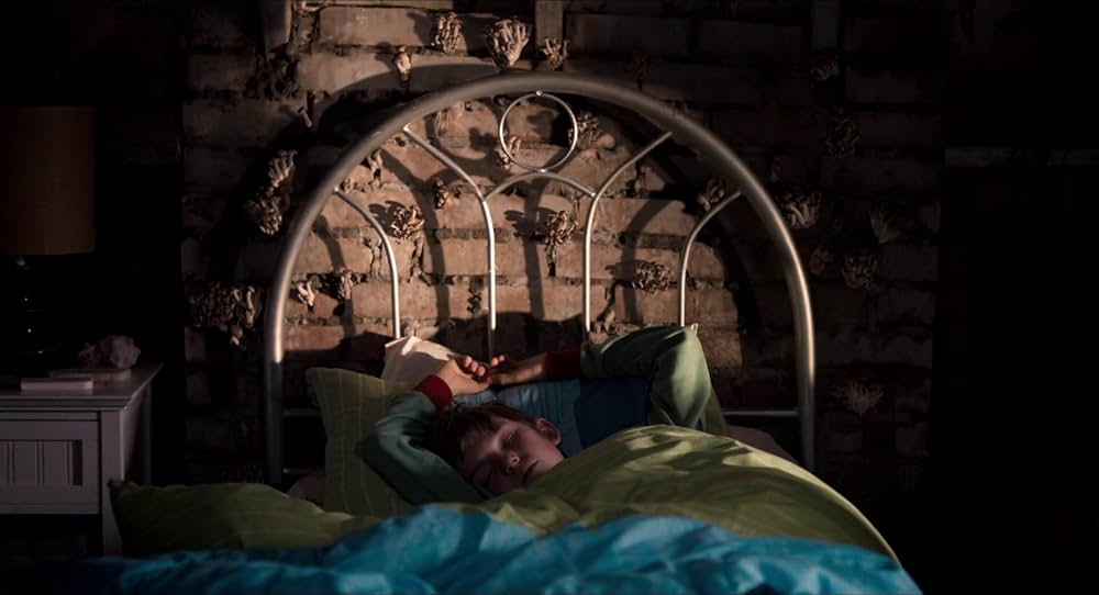 skellig（原題）の写真