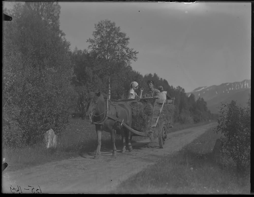 一番強い者の画像