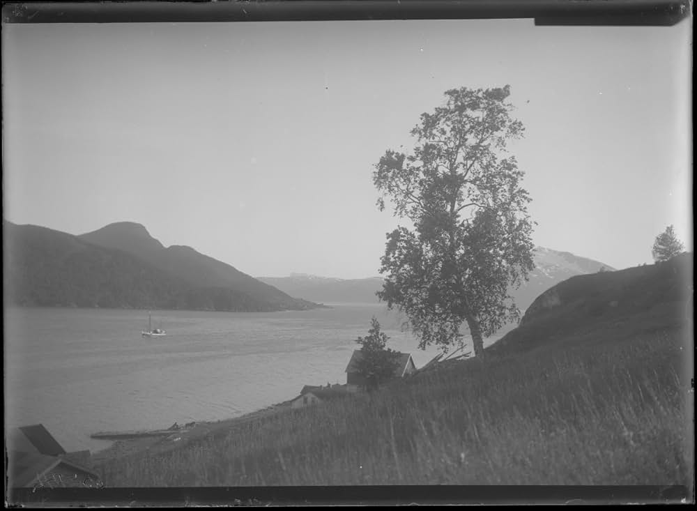 一番強い者の画像