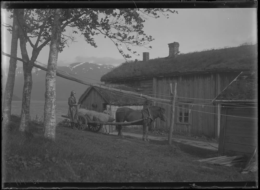 一番強い者の画像