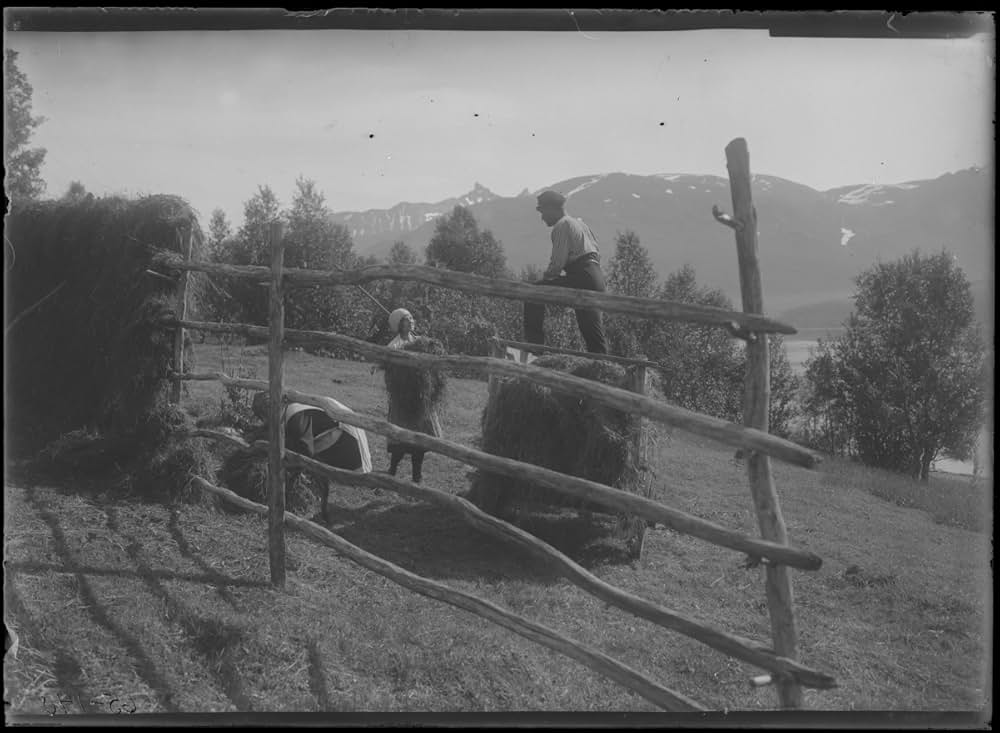 一番強い者の画像