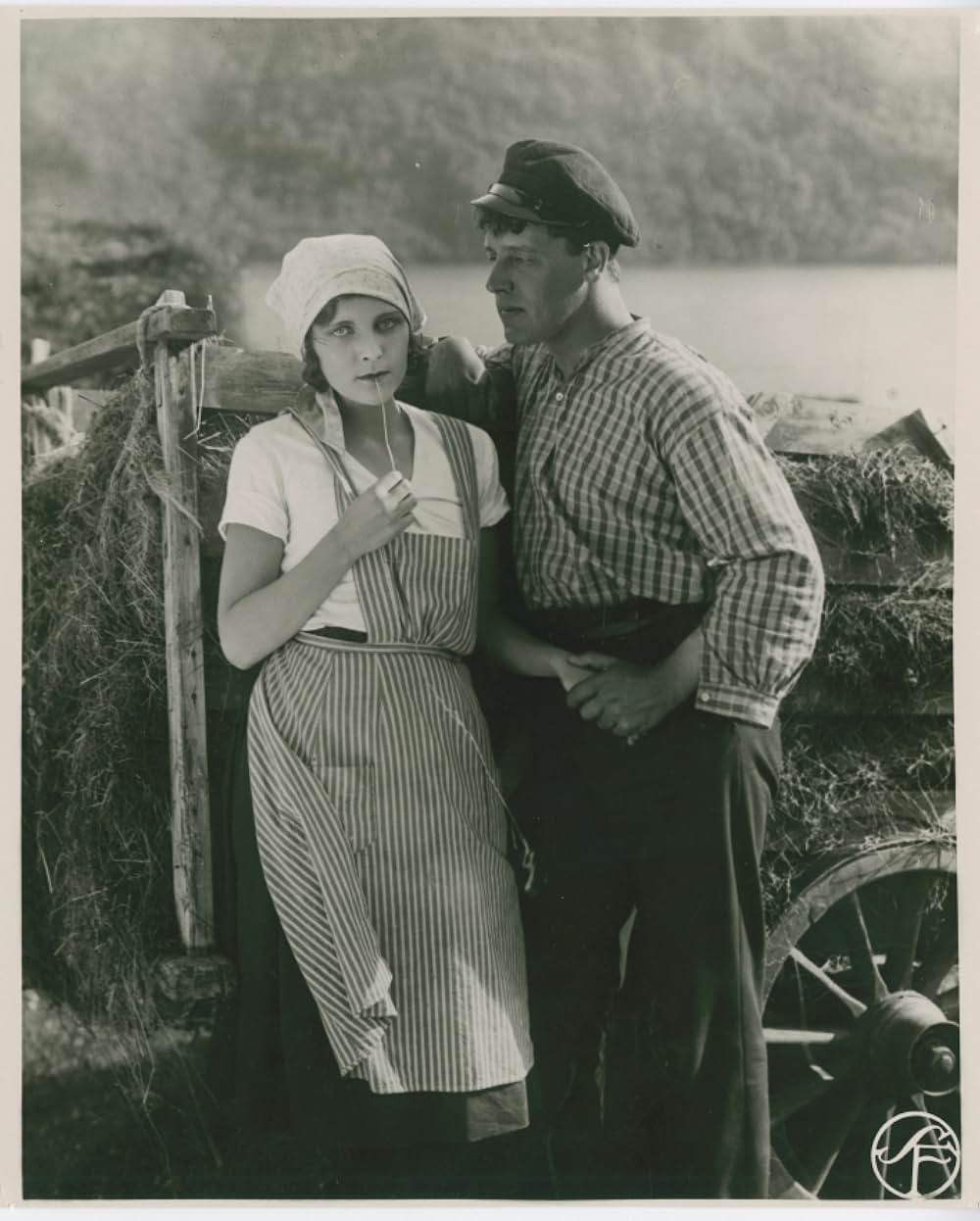 一番強い者の画像