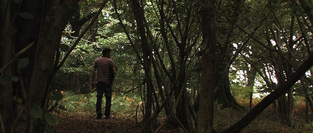 粘菌／はじまりの知性 ─ ザ・クリーピング・ガーデンの写真