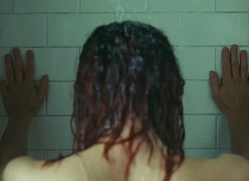 わたしはロランスの画像