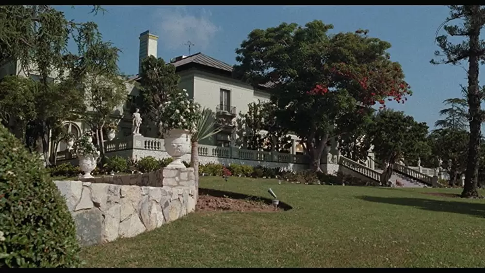 天国から落ちた男の画像