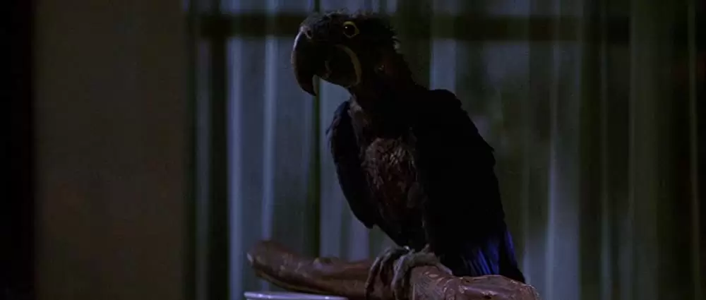 「コーリング」の画像