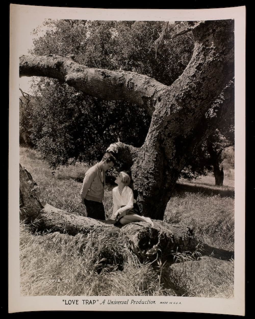 恋のからくりの画像