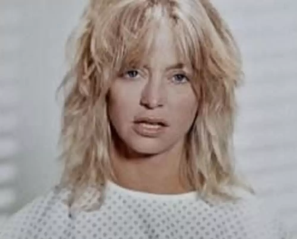 「潮風のいたずら」ゴールディ・ホーンの画像