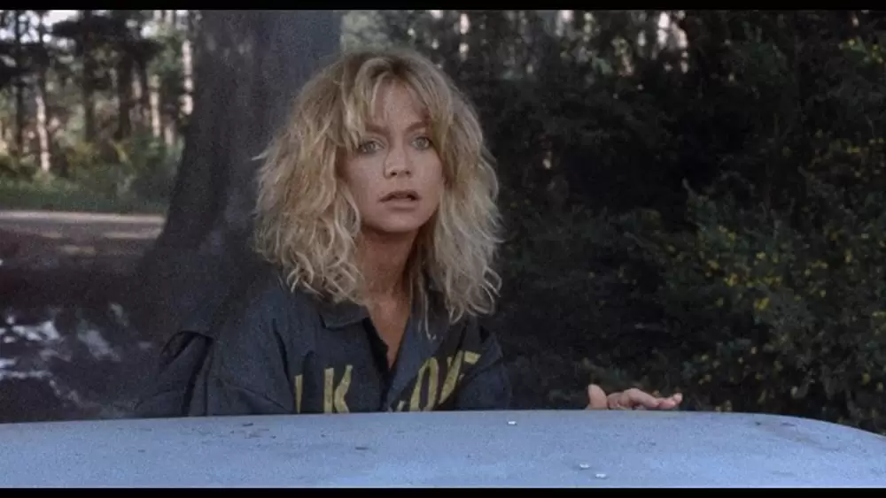 「潮風のいたずら」ゴールディ・ホーンの画像