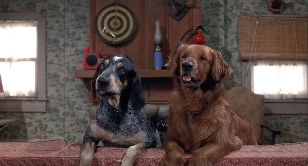 潮風のいたずらの画像