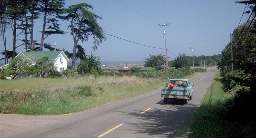 潮風のいたずらの画像