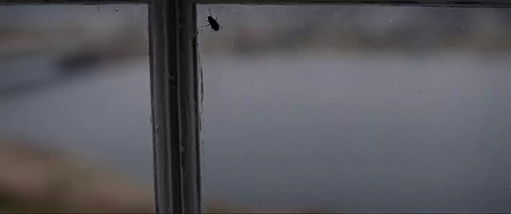 裁かれるは善人のみの画像