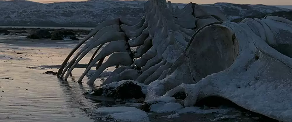 裁かれるは善人のみの画像