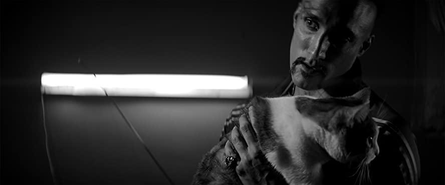 ザ・ヴァンパイア 残酷な牙を持つ少女の画像