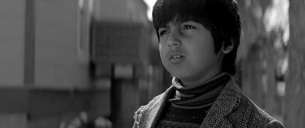 ザ・ヴァンパイア 残酷な牙を持つ少女の画像