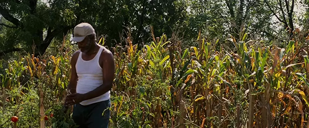 ブラック・スネーク・モーンの画像