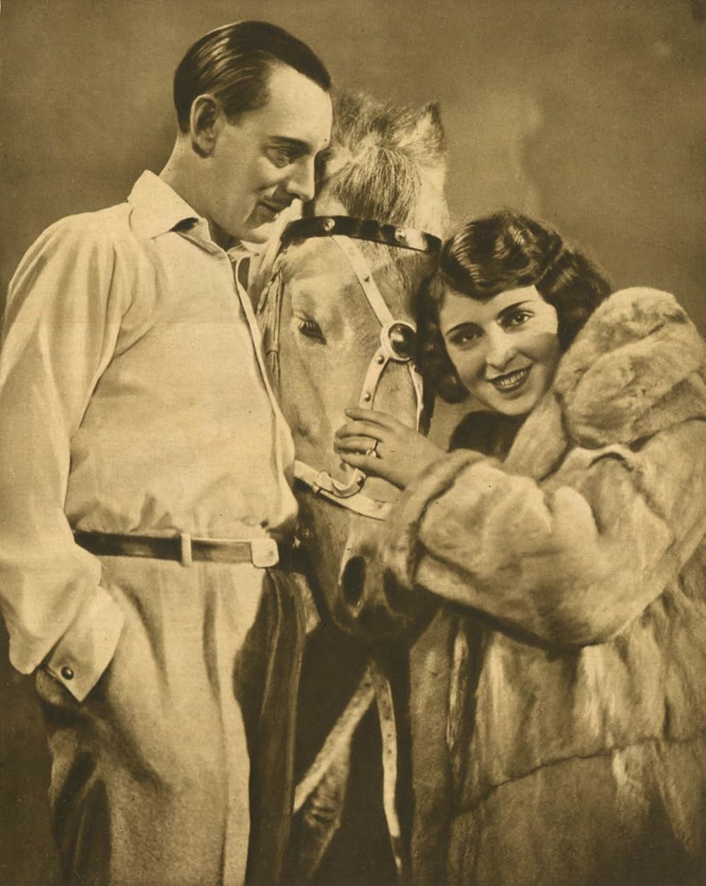 パンチネロの写真