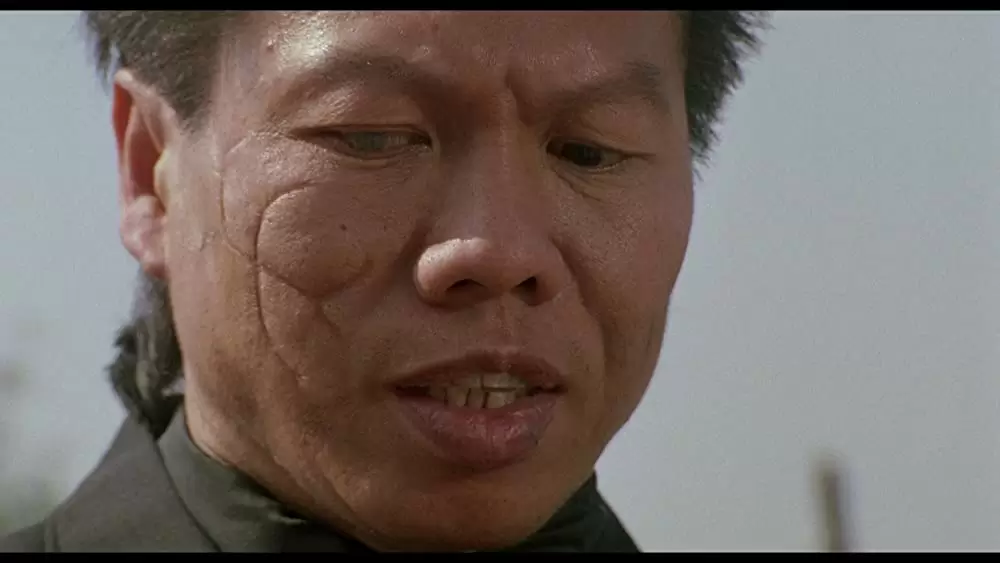 「ダブル・インパクト」楊斯の画像