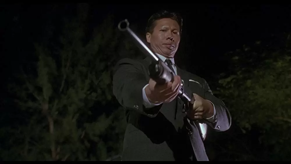 「ダブル・インパクト」楊斯の画像