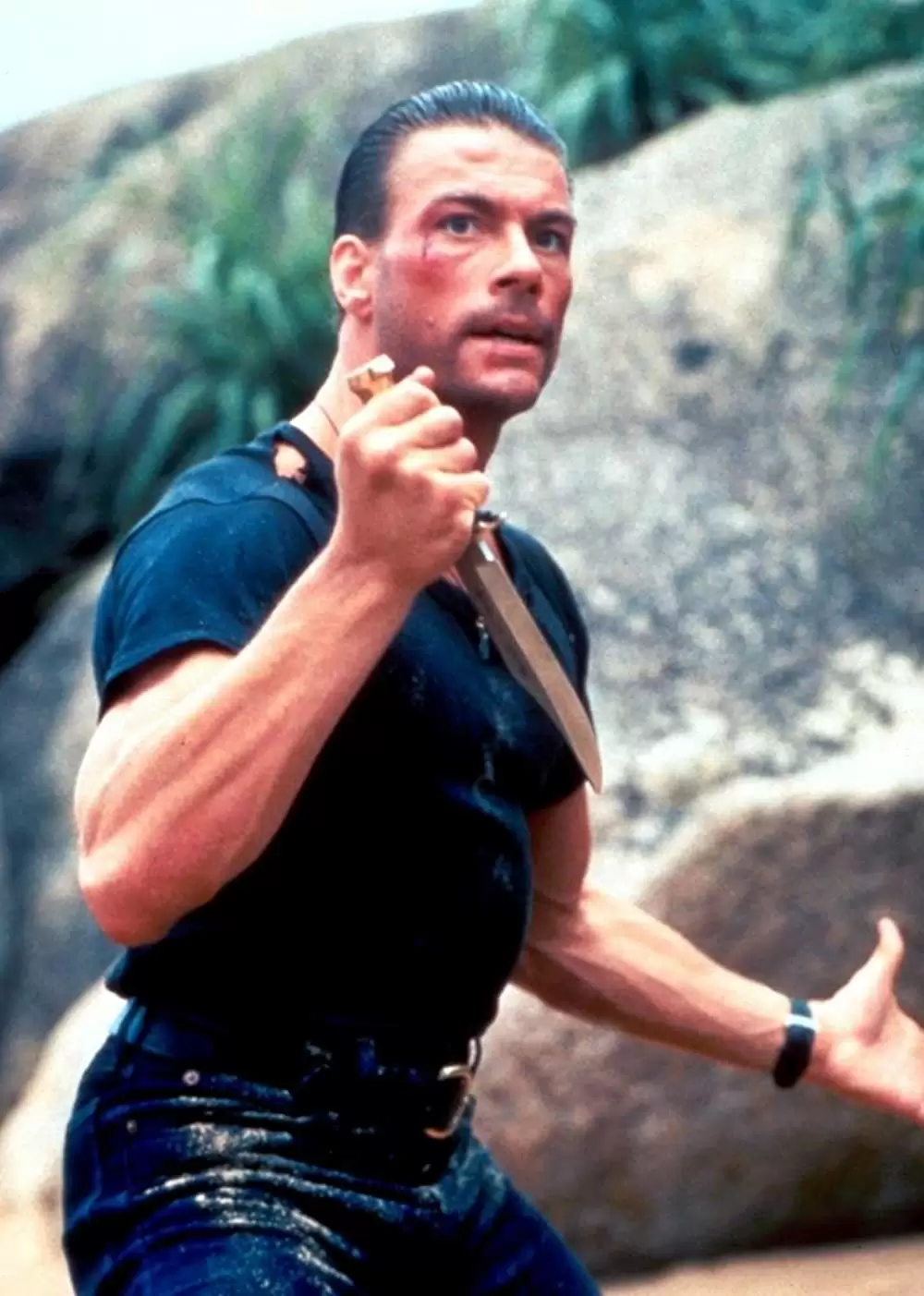 ダブル・インパクトの画像