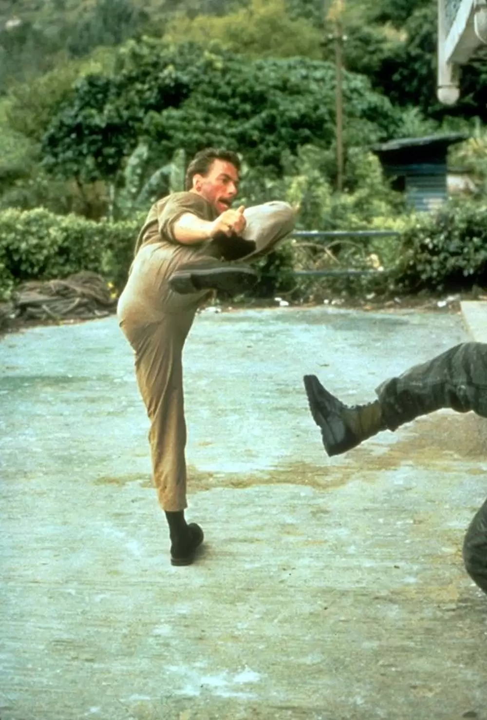 ダブル・インパクトの画像